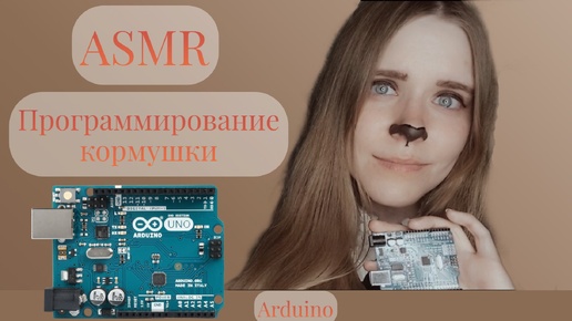 ASMR | Arduino | Программирование кормушки для котиков | АСМР Ардуино