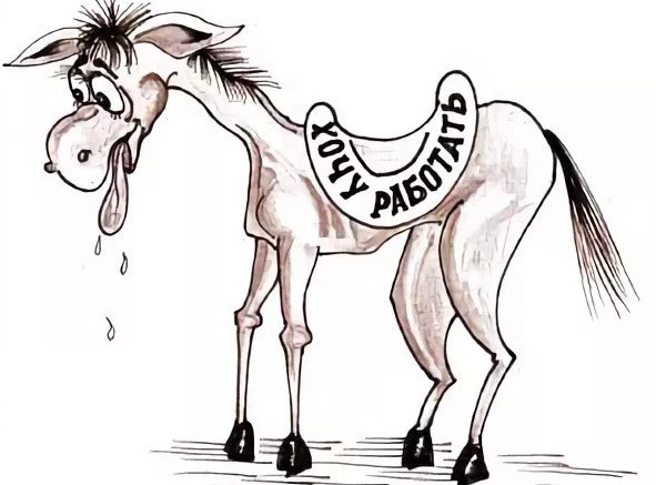 Лошадка на Фото 3 ниже выглядит довольно дохленькой. И вряд ли эту лошадку, проработавшую все утро с подвозом сена и дров, могли после этого, вечером, около 16 часов, снова отправить до 2-го Северного - на 24 км, с приличным грузом, по снежной реке с полыньями.