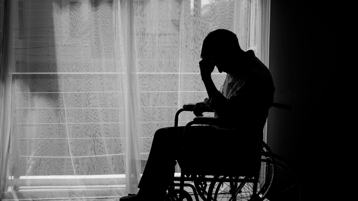 Изображение взято из открытых источников интернета. 