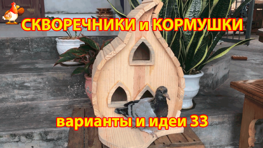 Descargar video: Скворечники и кормушки своими руками для птиц (33) 🪚🪛🔨 Идеи для дачи и сада своими руками 😂 Пошагово как сделать