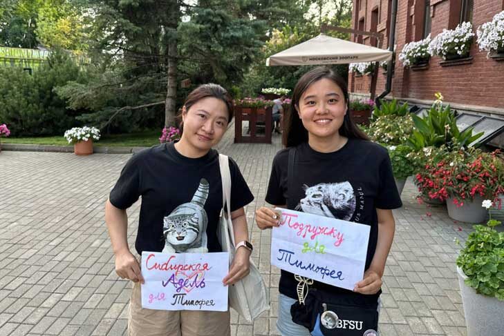    Китаянки являются большими поклонницами манула Тимофея. Фото из ТГ-канала Светланы Акуловой.