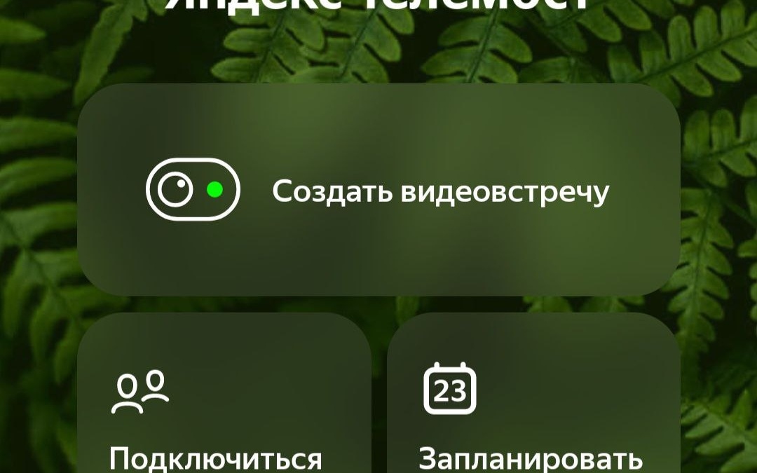 Скрин Яндекс телемост📷

