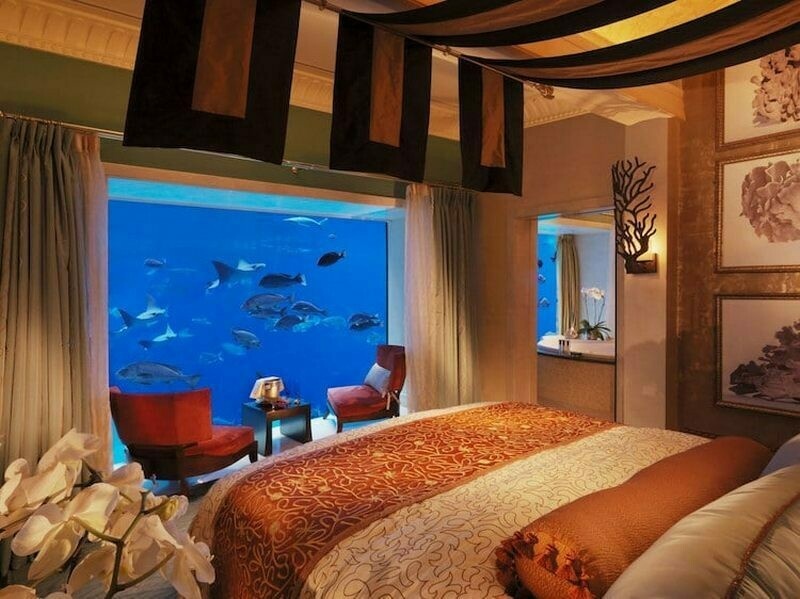    Фото: Atlantis the Palm