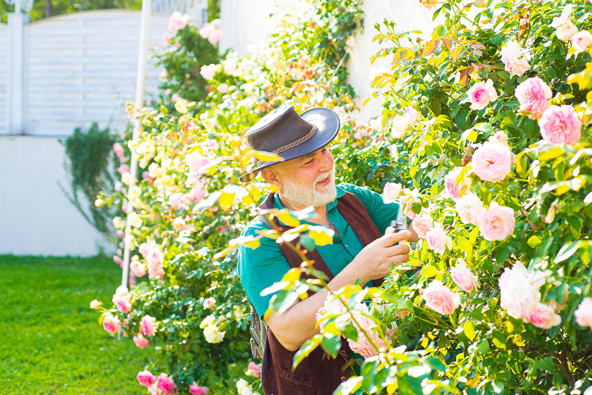 ©️ ru.freepik.com