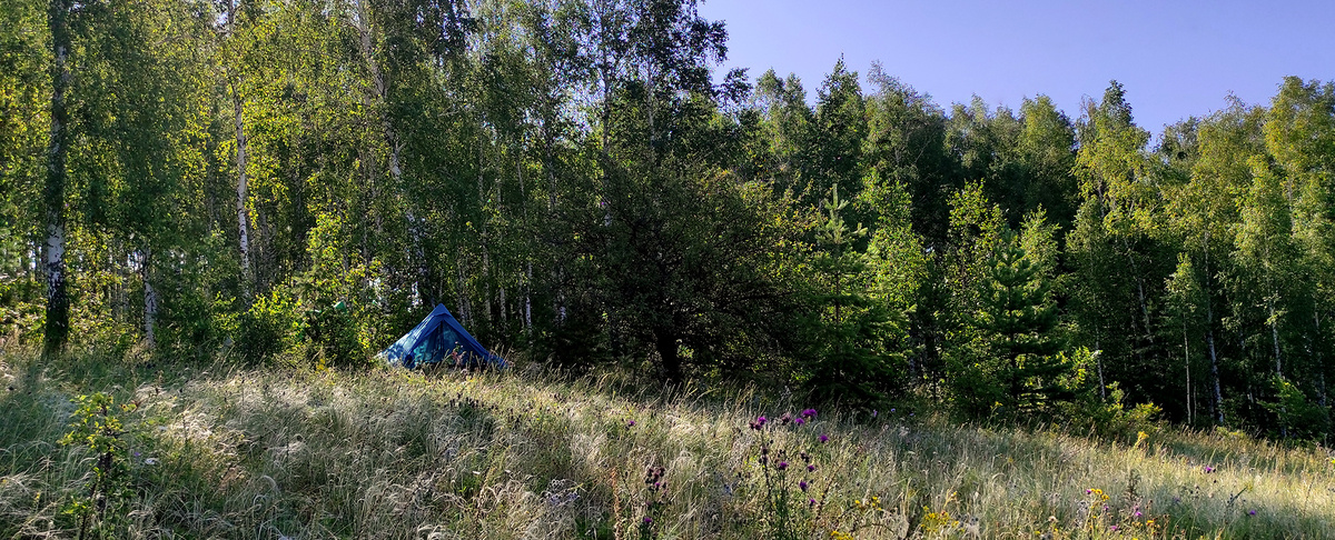 Вид на палатку со стороны ближайшей дороги