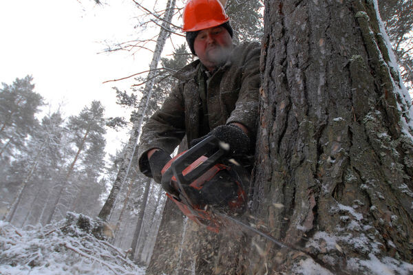 Александр Кондратюк/РИА «Новости»   📷