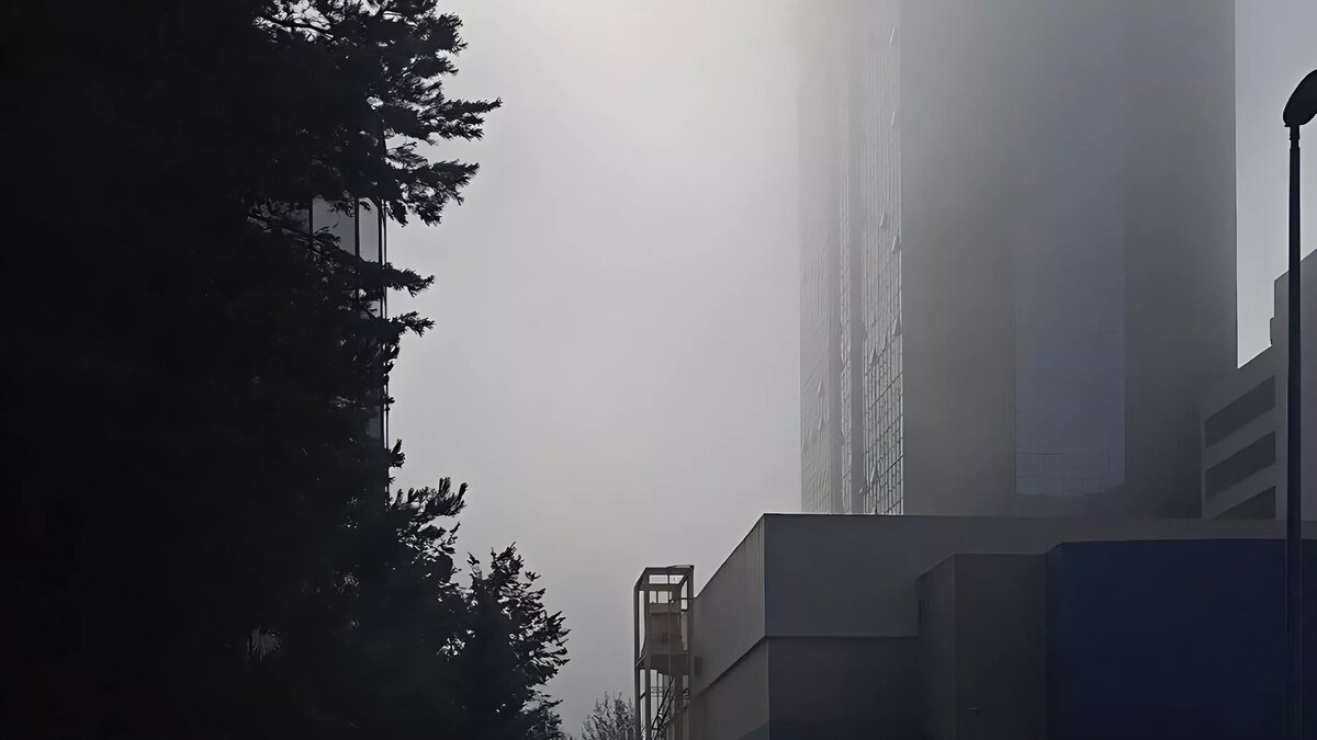     Источник: В Казани Поймут