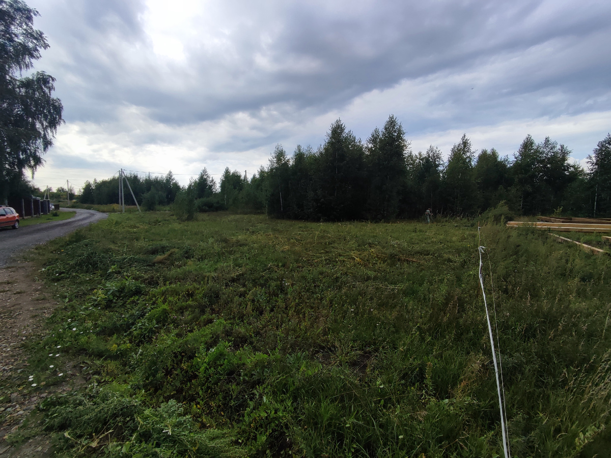 Наш участок. Фото август 2023.