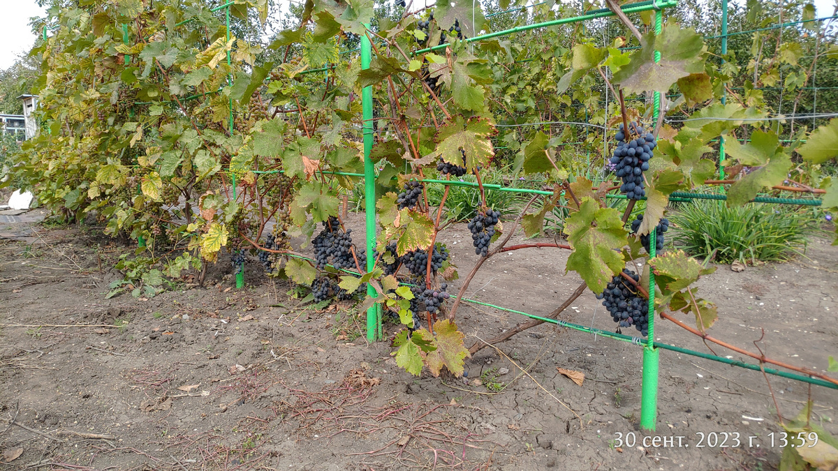 Вот так было вначале 