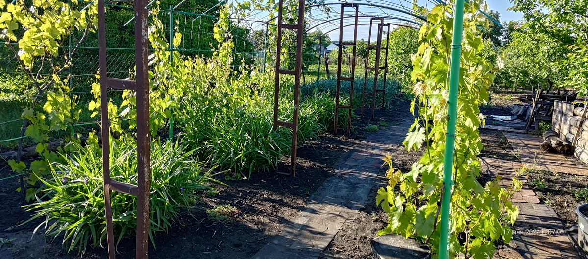 Вот так становится в процессе экспериментов