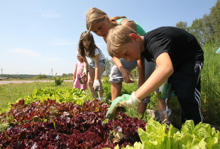 Фото из свободных источников