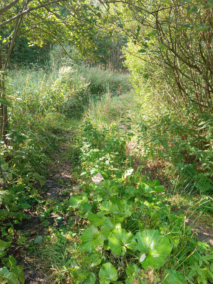 Фото автора.