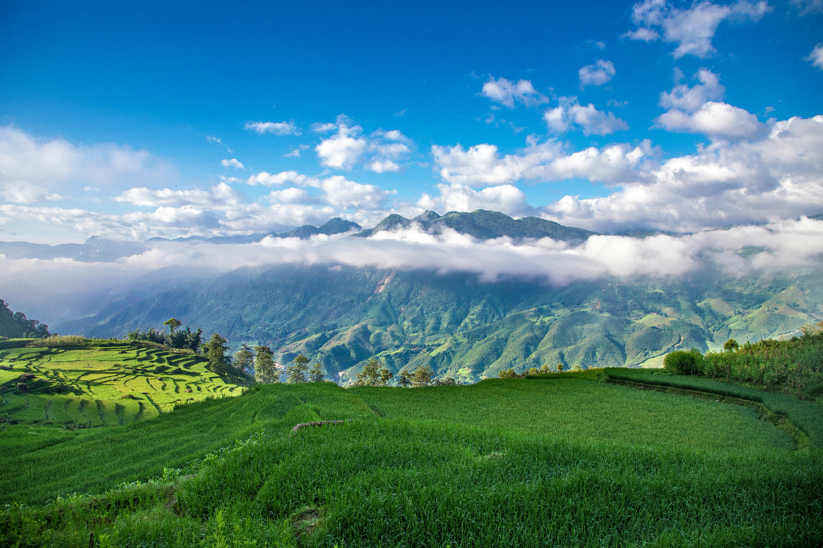Картинка с бесплатного фотостока https://unsplash.com, автор Abdelrahman Ismail