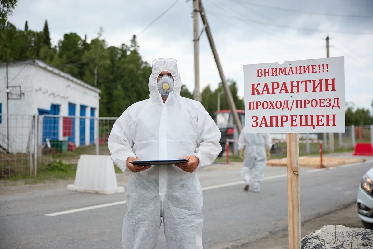    Очаг вируса ликвидирован