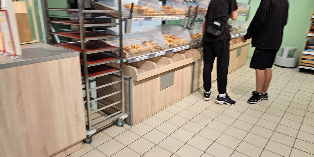 В мой дремучий лес пришел прогресс