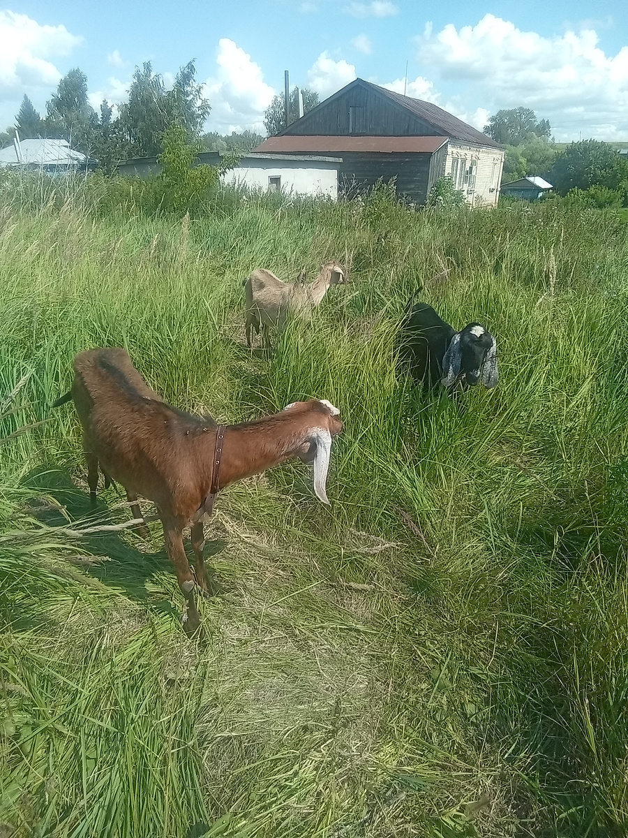 Фото автора. 