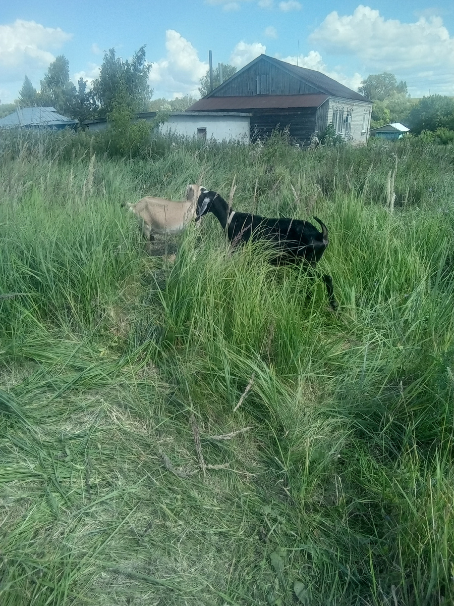 Фото автора. 