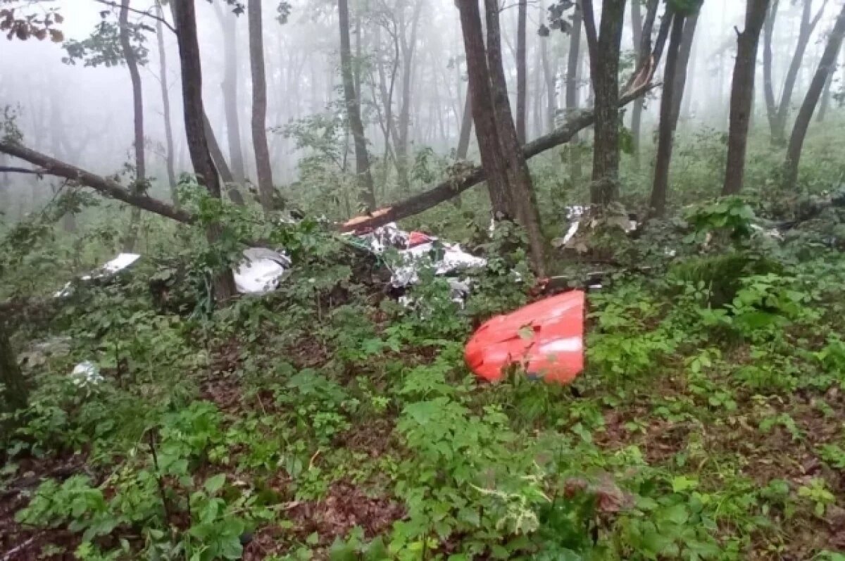    Следователь рассказала о расследовании крушения самолёта с омскими пилотами