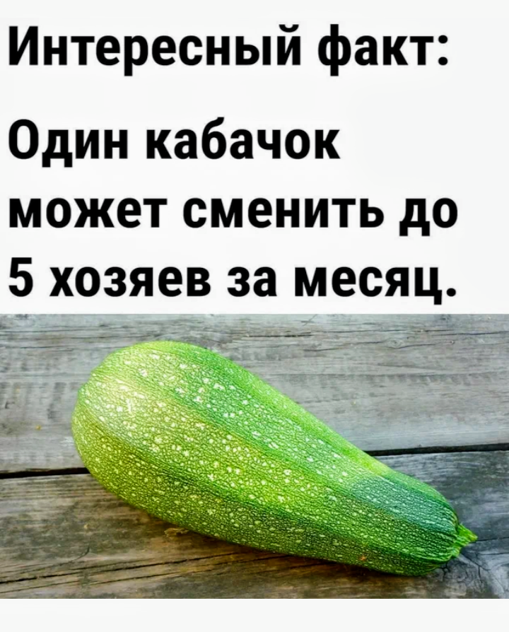Актуальненько, правда? 