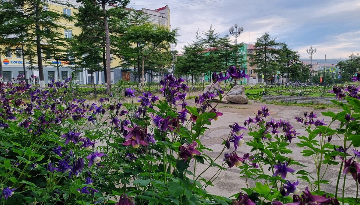 Фото: Кирилл Вишнепольский