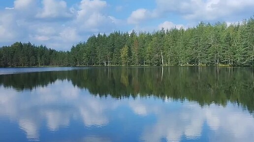 Лесная прогулка в Каннельярви, поиски грибов, брусника почти поспела