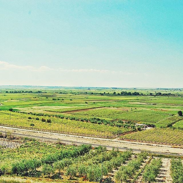 Приблизительное местонахождение битвы при Каннах. Вид с Каннского акрополя