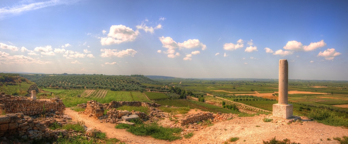 Слева на снимке гряда холмов, препятствующая обходному маневру карфагенской кавалерии