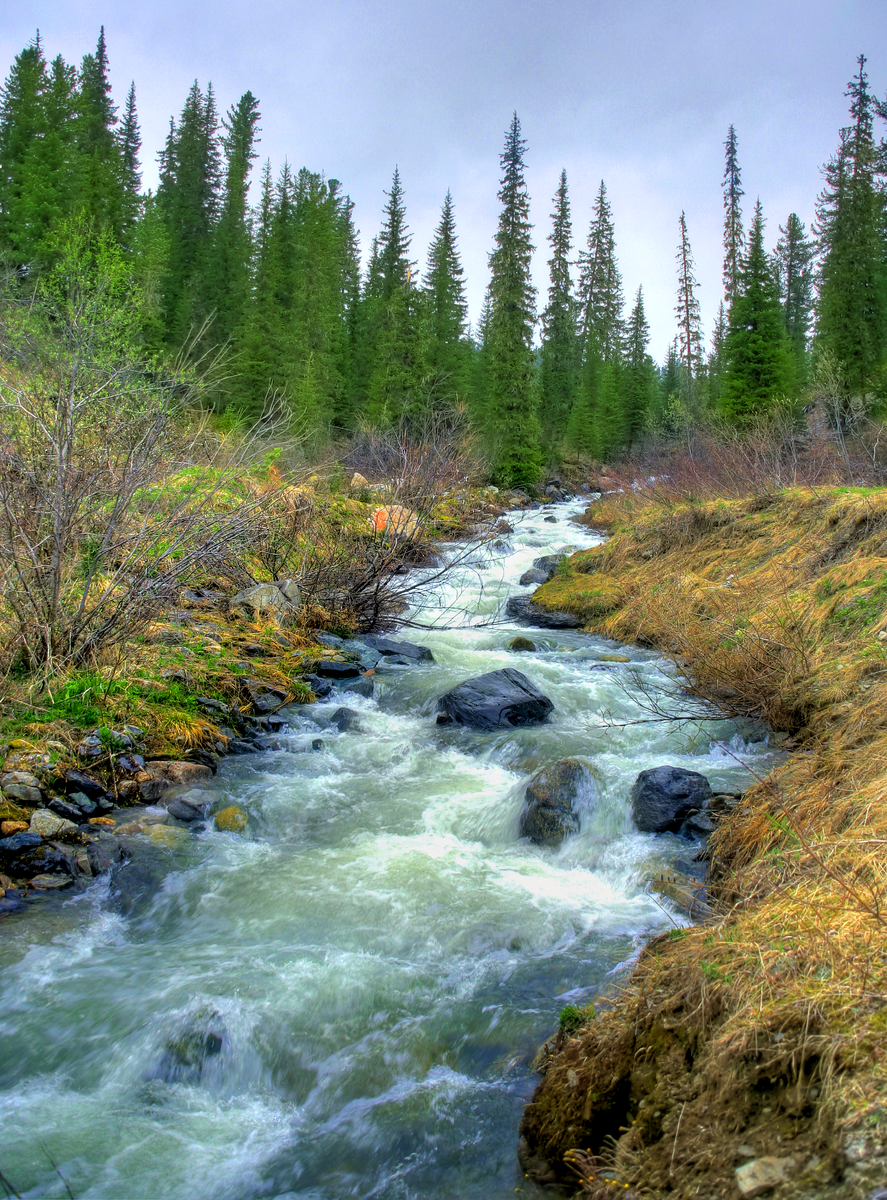 Фотография, стихотворение Василия Глуцкого