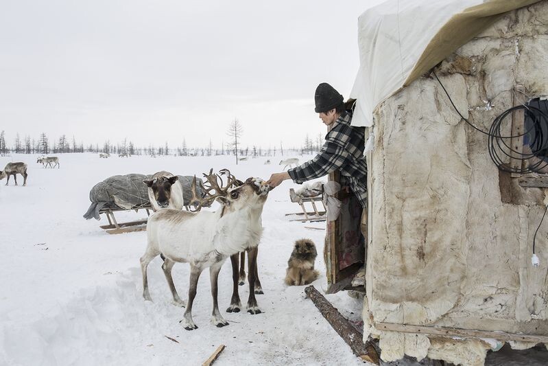 Повседневная жизнь ненцев в Тухарде, Красноярский край