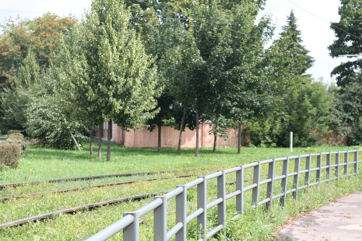 История трамваев в Коломне начинается с выпуска моторных трамваев на Коломенском вагоностроительном заводе братьев Струве в 1891 году