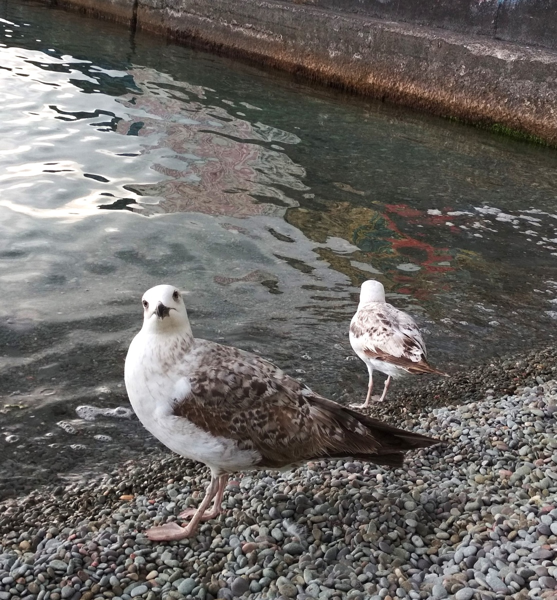 Лариса Бардадым / © "ПРОСВЕТ.ПРЕСС