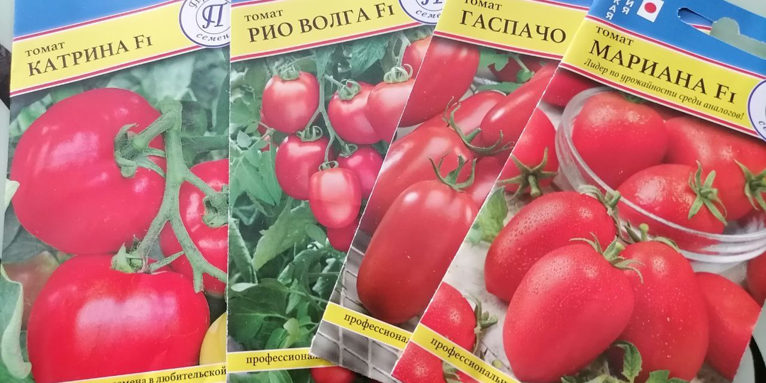 Новые сорта томатов для открытого грунта (обзор покупки семян)