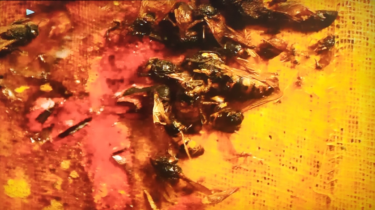 Nine Inch Nails "The Downward Spiral" DualDisc - мухи и котлеты мертвы