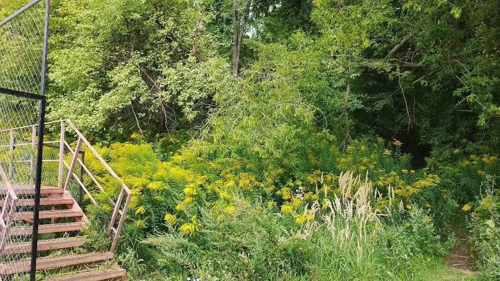     Источник: vk.com/zhk_novaya_kuznechiha