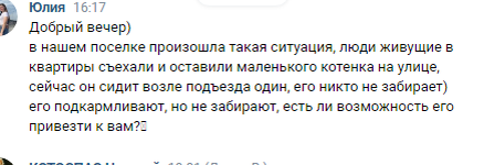 Подобные сообщение в группу и волонтерам лично приходят ежедневно