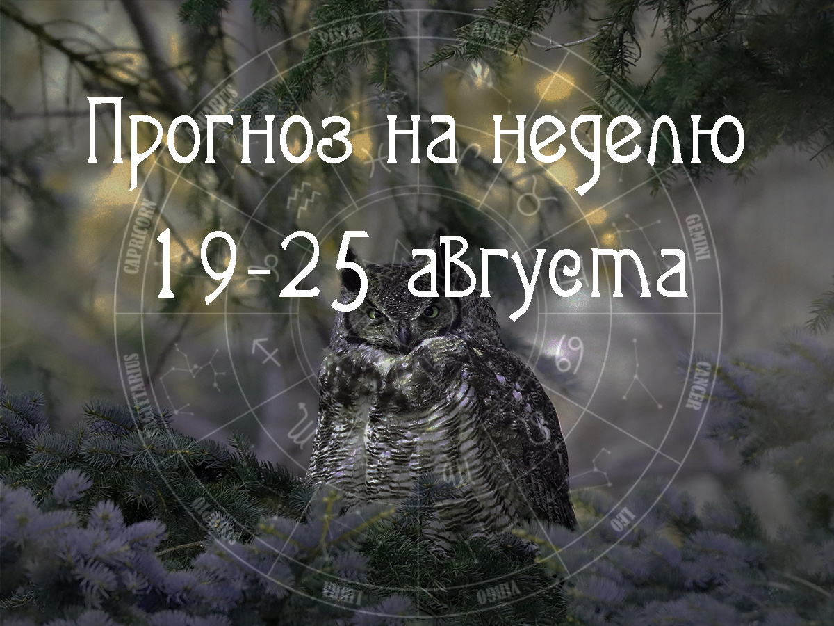 Астрологический прогноз на 19 – 25 августа 2024 года