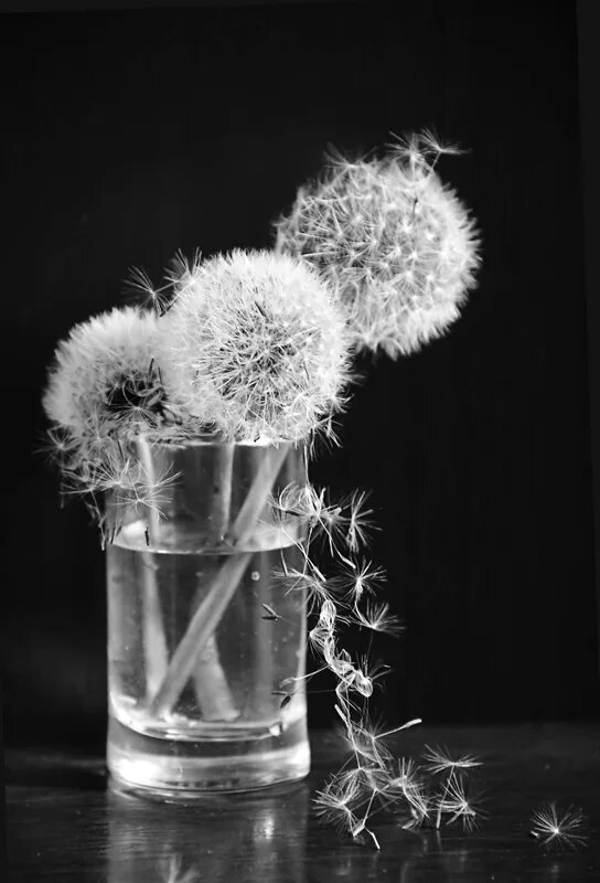 Изображение взято из открытых источников в качестве иллюстрации