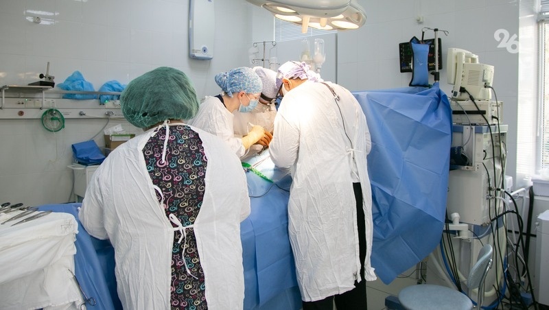      Фото: ИА «Победа26»