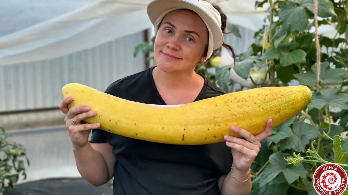 Фото:Книга рекордов России Елена Агафонова вырастила самый большой в России огурец