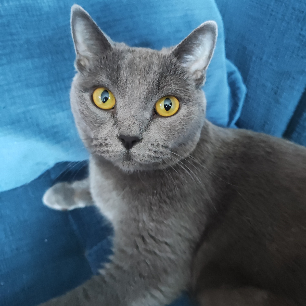 Макс из Ногинска