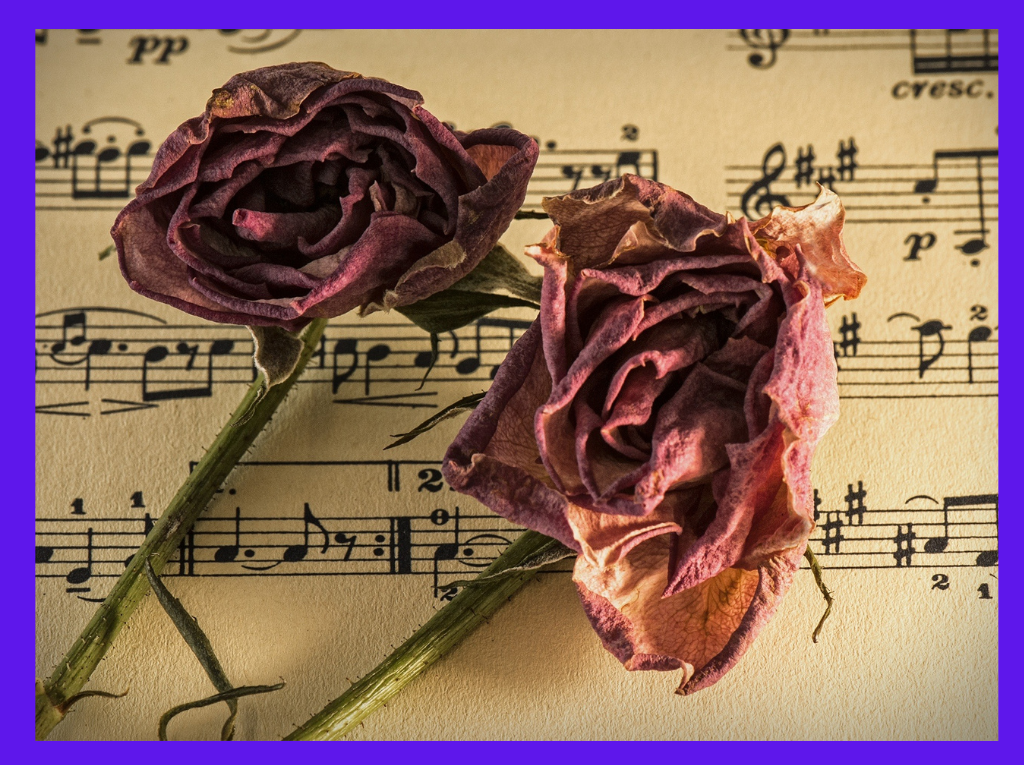 Картинка создана автором  #нейросети #искусственныйинтеллект
