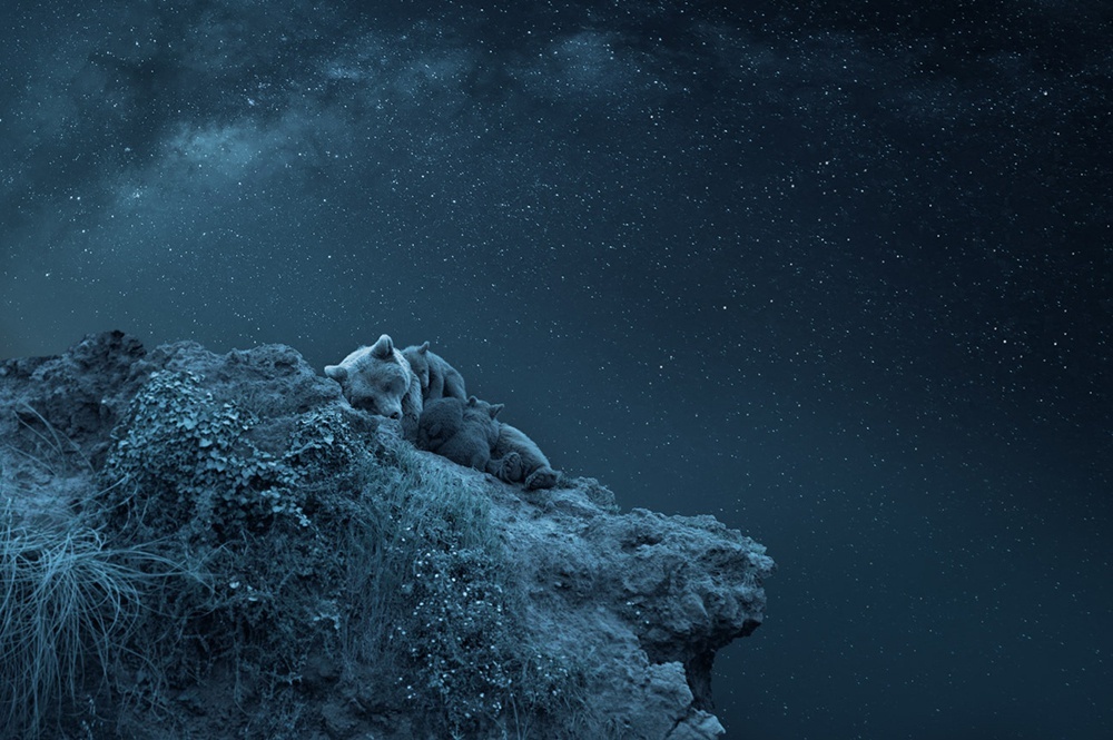    Lurdes Santander, sienawards.com