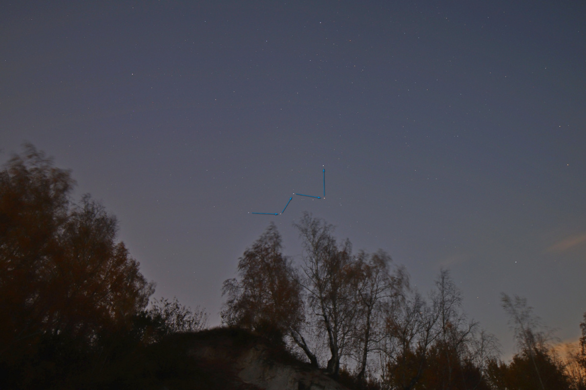 Кассиопея над деревами .