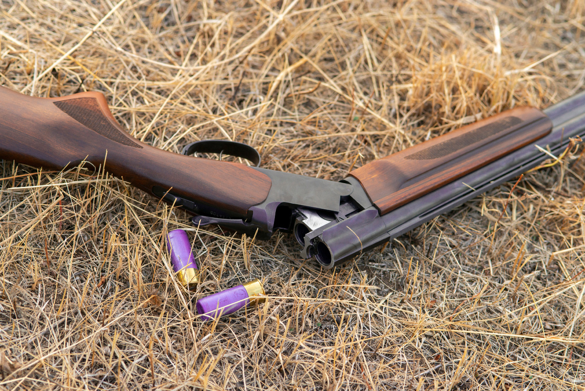 Фото: Vigen M/Shutterstock/Fotodom