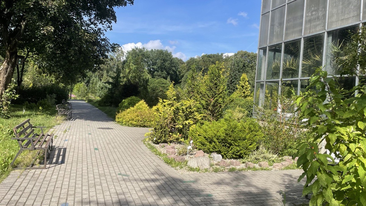 Калининградский ботанический сад.