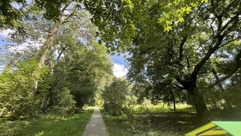 Калининградский ботанический сад.