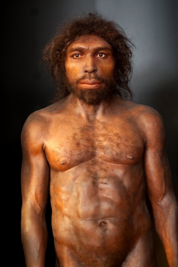 Источник графической реконструкции: http://www.mundocontemporaneo.es/units/UNit_6/homo_antecessor.html
