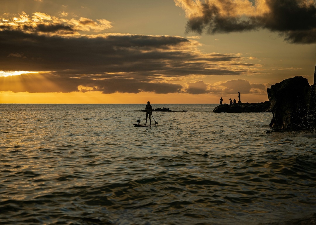 Источник: https://unsplash.com/  