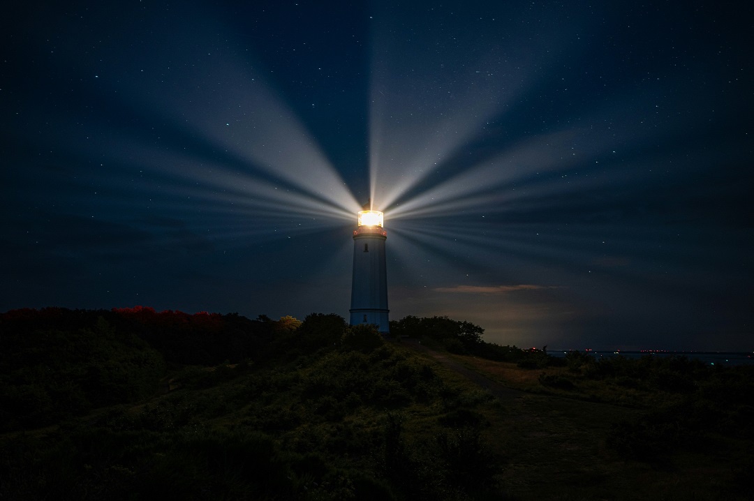 Источник: https://unsplash.com/  