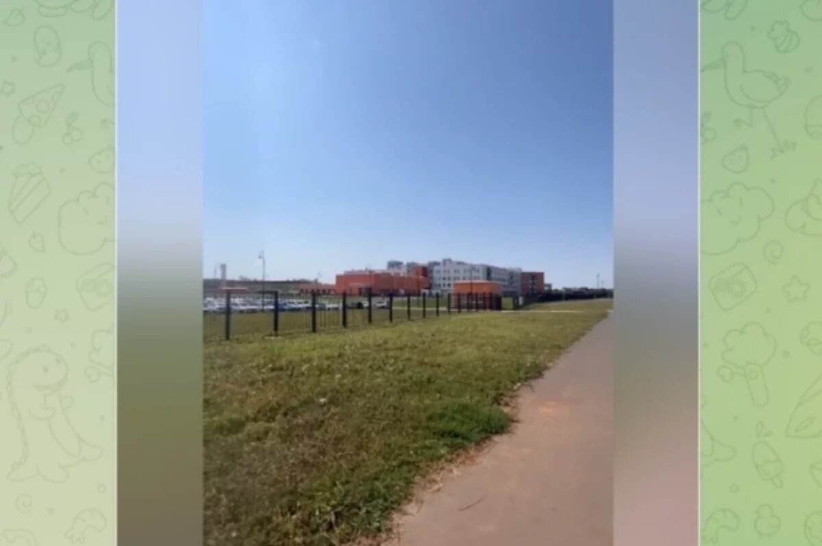    Оренбуржцы сообщают о трупах крыс у детской больницы